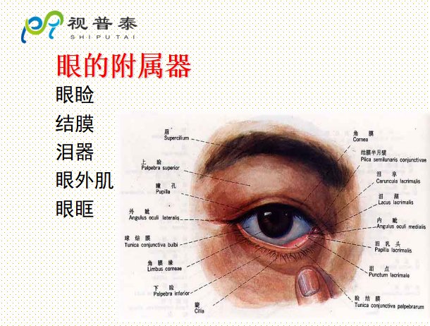 福建省福州市仓山区盖山镇中亭老人馆