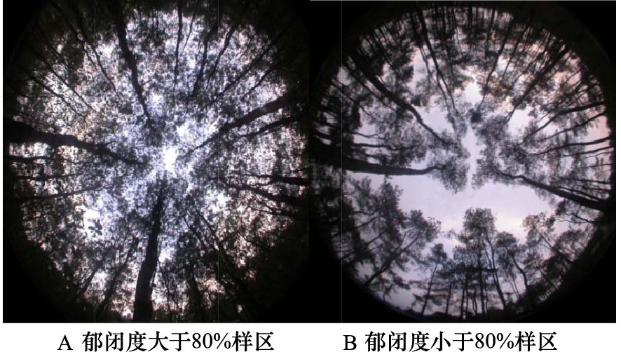 山西省大同市大同县吉家庄乡第二敬老院