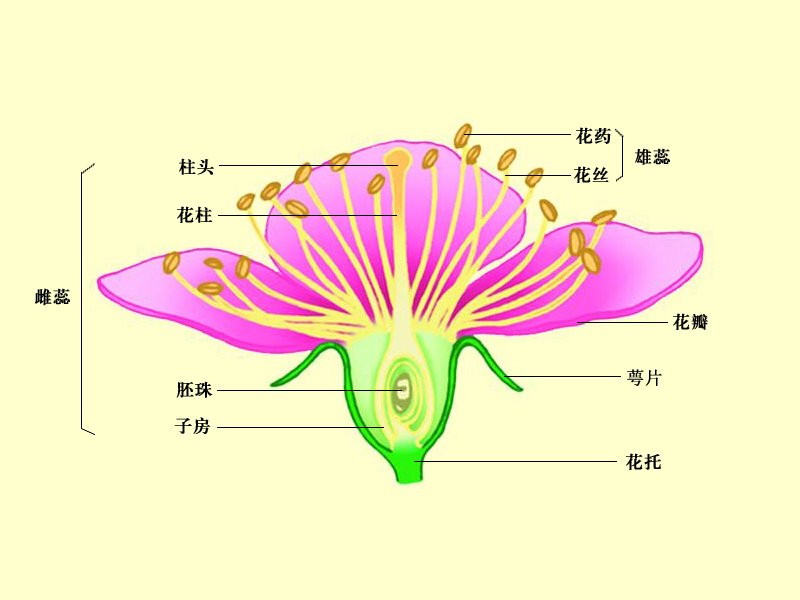 重庆市铜梁县明欣老年公寓