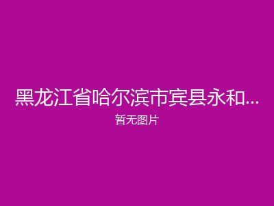 黑龙江省哈尔滨市宾县永和乡敬老院