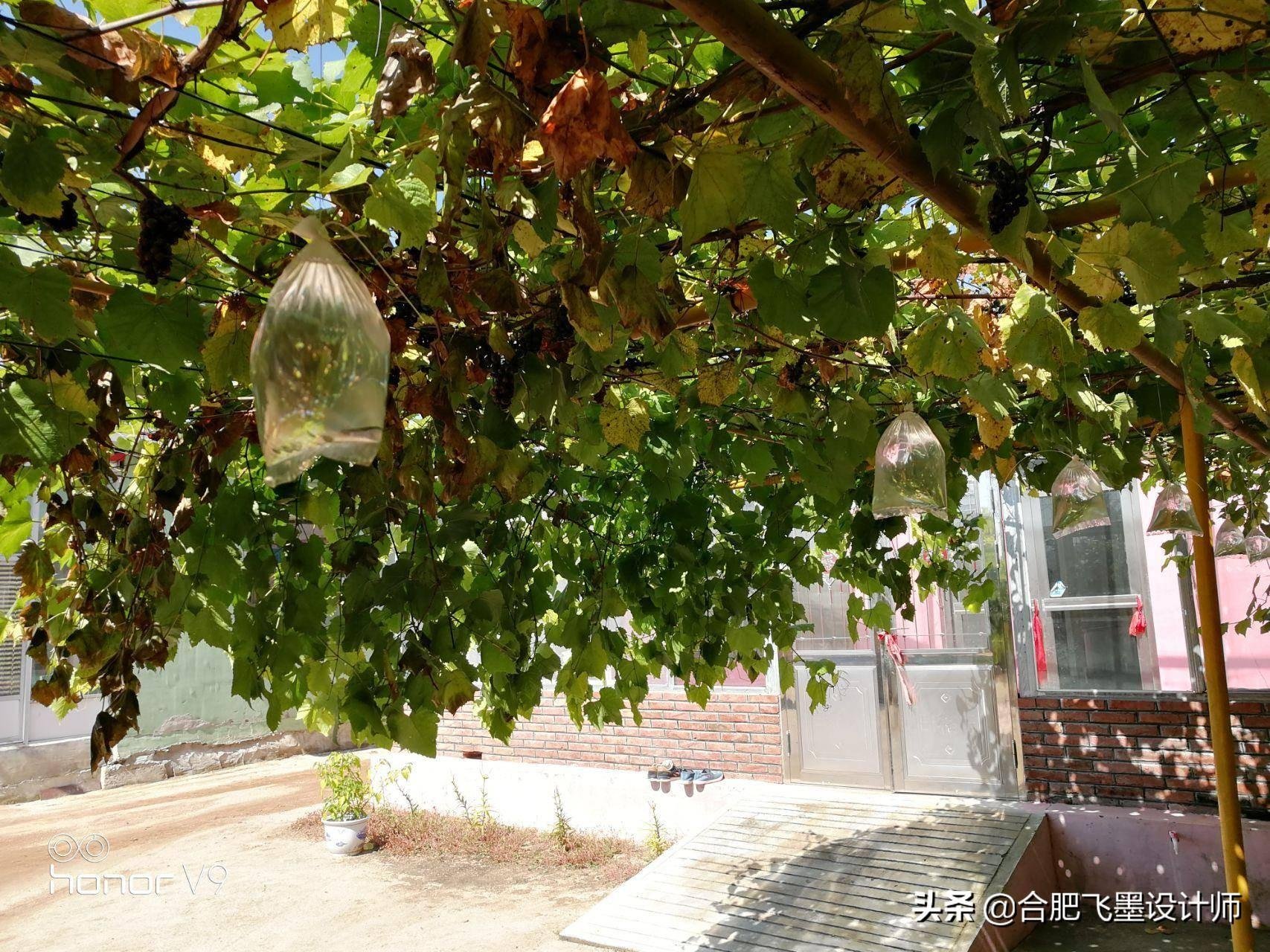 江西省景德镇市昌江区丽阳乡敬老院