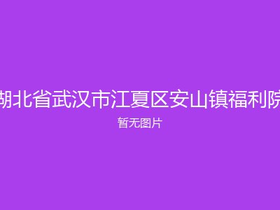 湖北省武汉市江夏区安山镇福利院