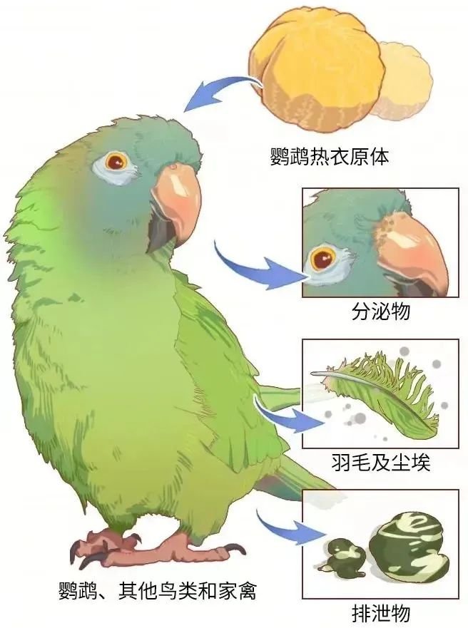 辽宁省辽阳市辽阳县水泉乡敬老院