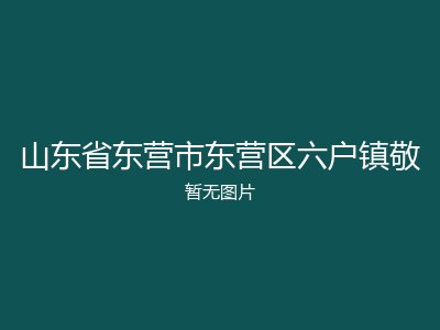 山东省东营市东营区六户镇敬