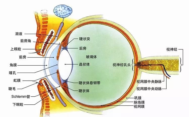 山东省青岛市四方区水清沟老年公寓特护部