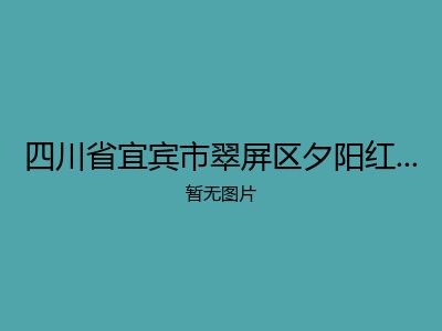 四川省宜宾市翠屏区夕阳红老年公寓