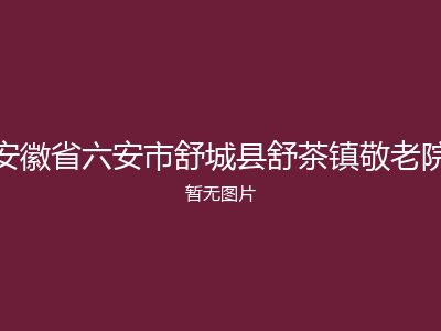 安徽省六安市舒城县舒茶镇敬老院