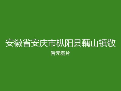 安徽省安庆市枞阳县藕山镇敬