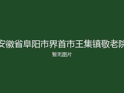 安徽省阜阳市界首市王集镇敬老院