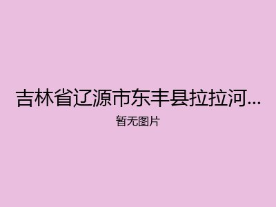 吉林省辽源市东丰县拉拉河社会福利院