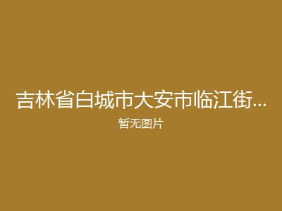 吉林省白城市大安市临江街马家托老所
