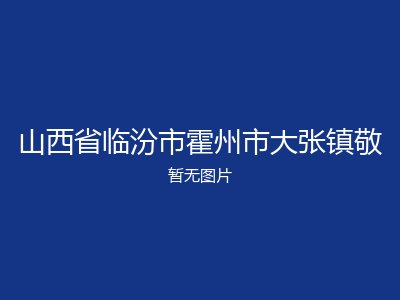 山西省临汾市霍州市大张镇敬