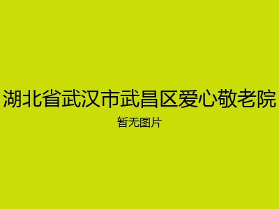湖北省武汉市武昌区爱心敬老院