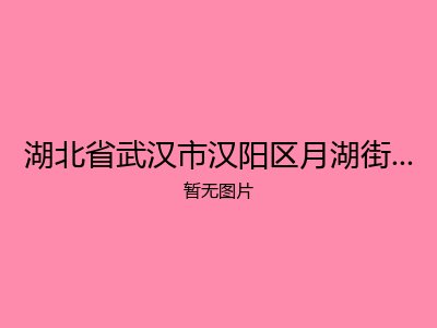 湖北省武汉市汉阳区月湖街老年公寓