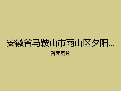 安徽省马鞍山市雨山区夕阳红托老所