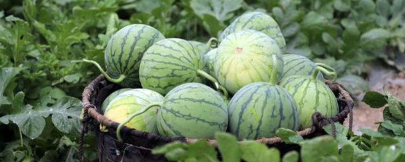 安徽省芜湖市无为县无城镇养老院