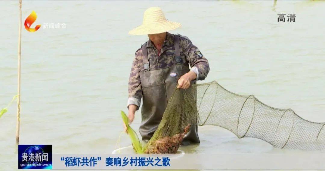 重庆市涪陵区太和乡社会福利院
