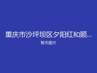 重庆市沙坪坝区夕阳红和顺寨老年公寓