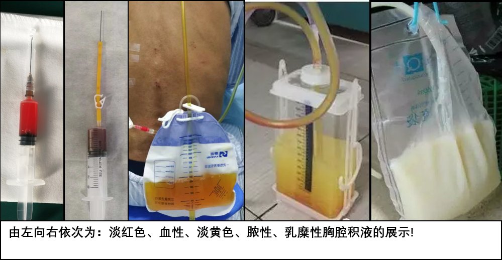 重庆市沙坪坝区歌乐山镇金秋乐园