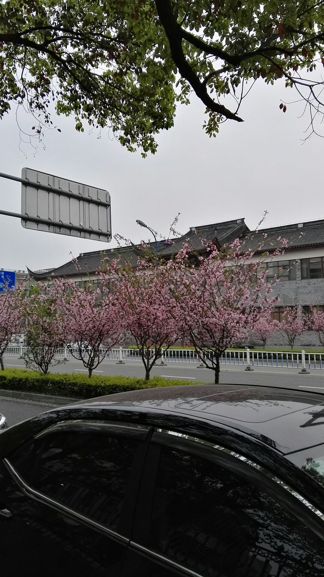浙江省宁波市镇海区夏金生福利院