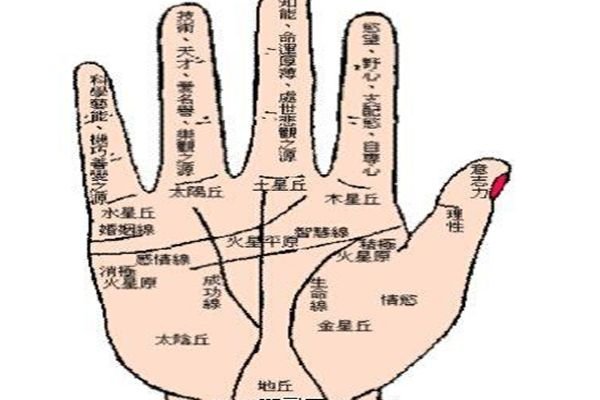 浙江省宁波市奉化市裘村镇敬老院