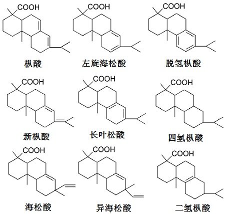 浙江省宁波市鄞州区杖锡乡敬老院