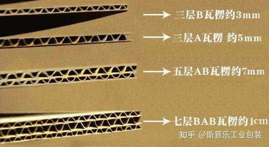 浙江省绍兴市越城区塔山街道夕阳红老年公寓