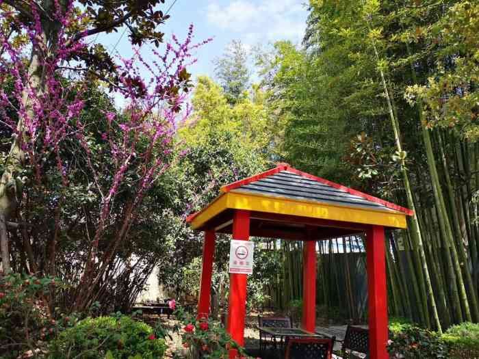 上海市闵行区爱德养老院