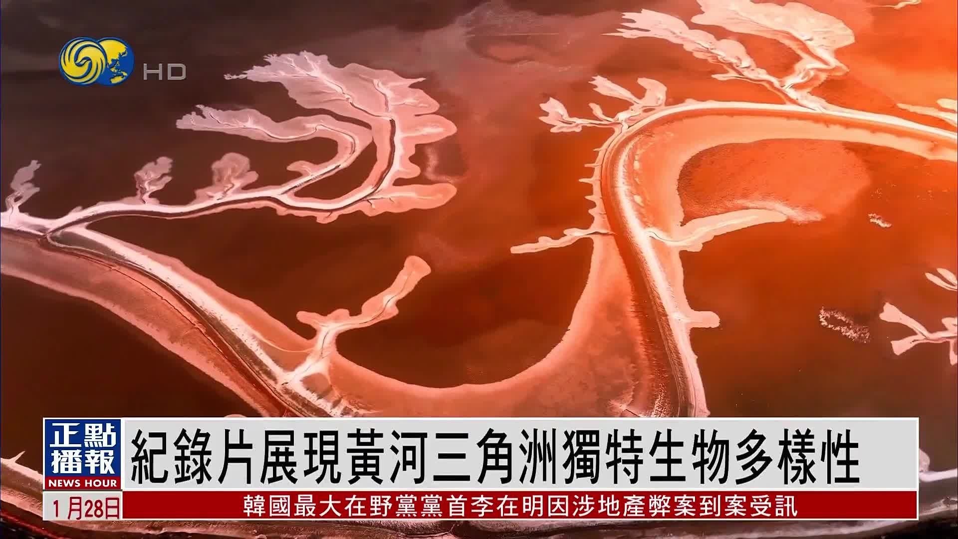 上海市崇明县桃源安养院