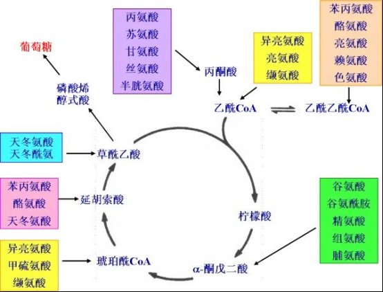 上海市金山区石化街道第一敬老院