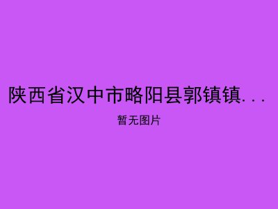 陕西省汉中市略阳县郭镇镇福利中心