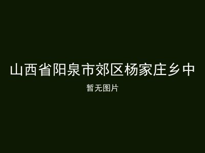 山西省阳泉市郊区杨家庄乡中