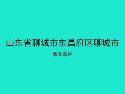 山东省聊城市东昌府区聊城市