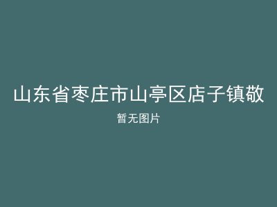 山东省枣庄市山亭区店子镇敬