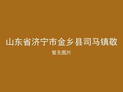 山东省济宁市金乡县司马镇敬