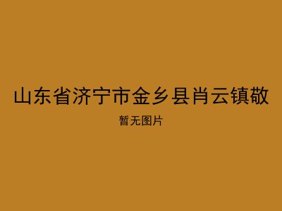 山东省济宁市金乡县肖云镇敬
