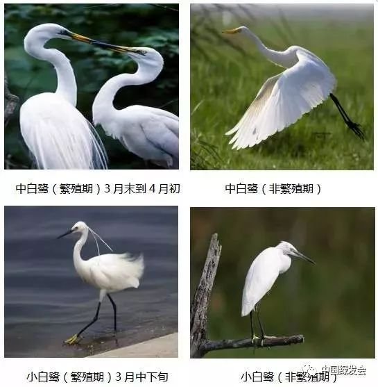 山东省青岛市城阳区夏庄街道敬老院