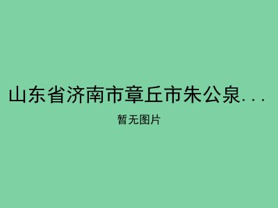 山东省济南市章丘市朱公泉村福利站