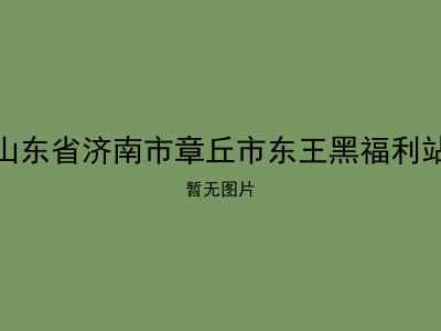 山东省济南市章丘市东王黑福利站