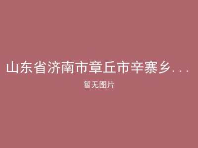 山东省济南市章丘市辛寨乡柳塘口敬老院