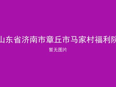 山东省济南市章丘市马家村福利院