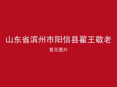 山东省滨州市阳信县翟王敬老