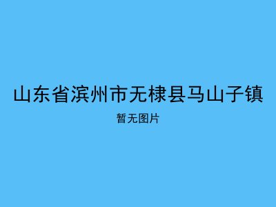 山东省滨州市无棣县马山子镇