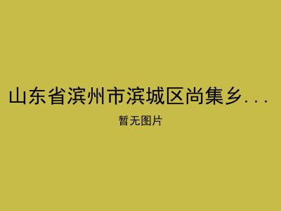 山东省滨州市滨城区尚集乡福利一院