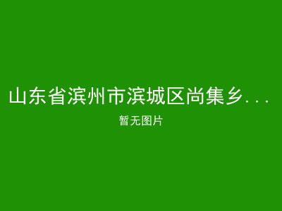 山东省滨州市滨城区尚集乡福利二院