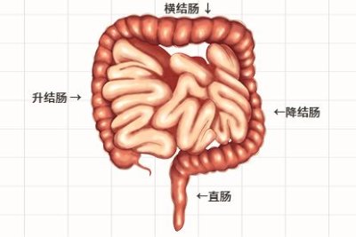 山东省泰安市岱岳区大汶口镇敬老院