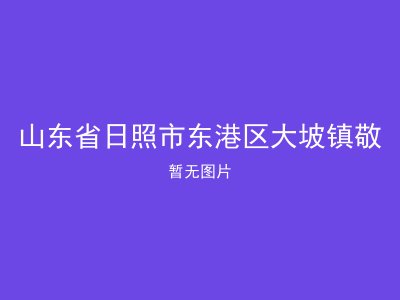山东省日照市东港区大坡镇敬