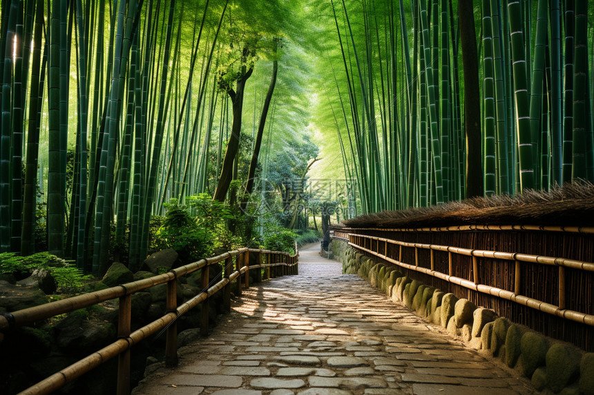山东省临沂市兰山区李官乡敬