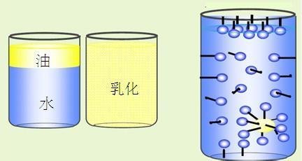 山东省聊城市东昌府区郑家镇敬老院
