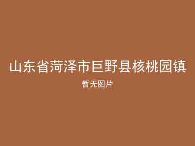 山东省菏泽市巨野县核桃园镇